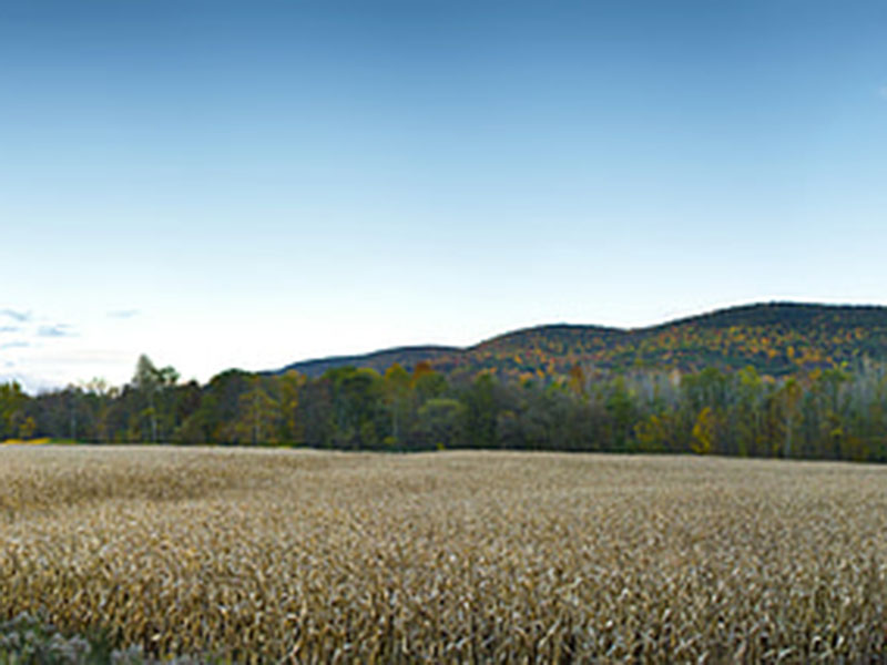 測(cè)定植物的營養(yǎng)，為農(nóng)戶取得更大效益