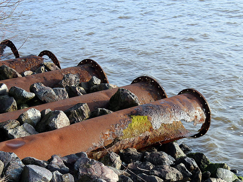水質(zhì)生物毒性在線分析儀具備哪些特點？