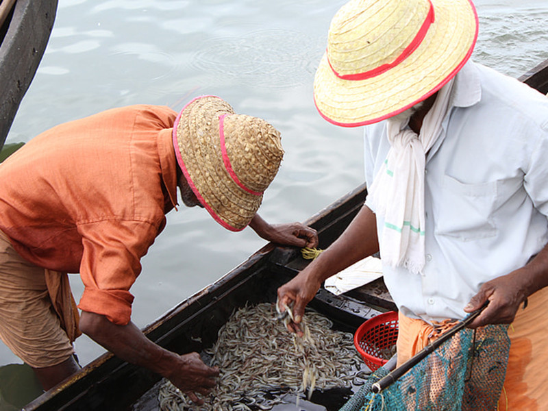 余氯檢測(cè)儀對(duì)水產(chǎn)養(yǎng)殖有什么幫助？