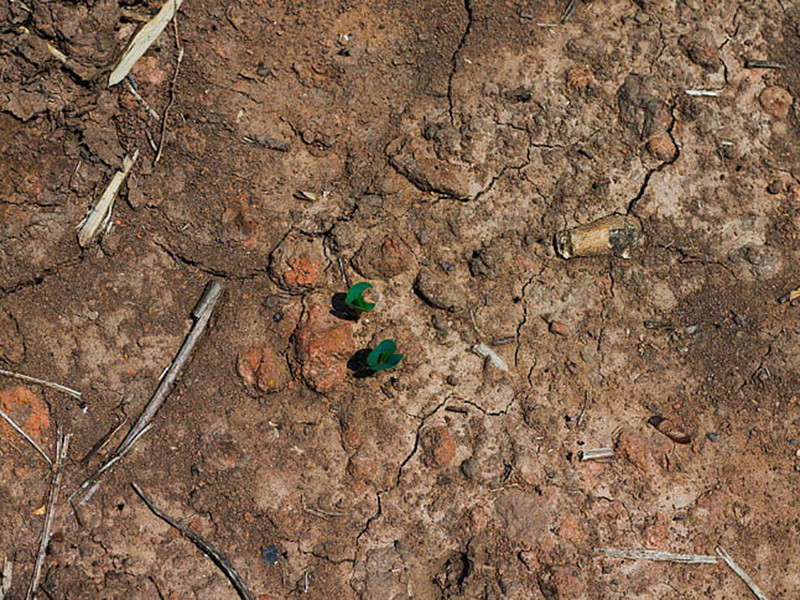 土壤檢測費用一般是多少？