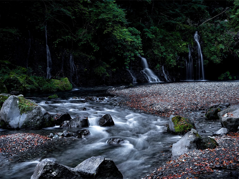 水質(zhì)生物毒性檢測(cè)儀作用