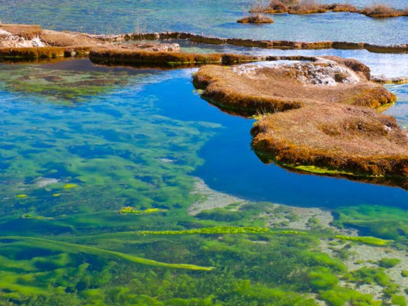 總磷檢測原理及步驟