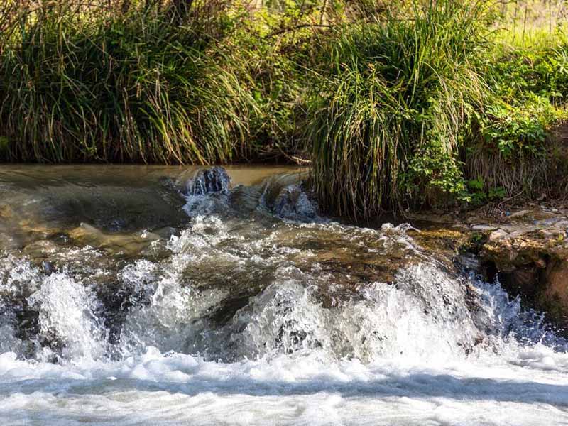 揮發(fā)酚在線自動(dòng)分析儀原理與應(yīng)用