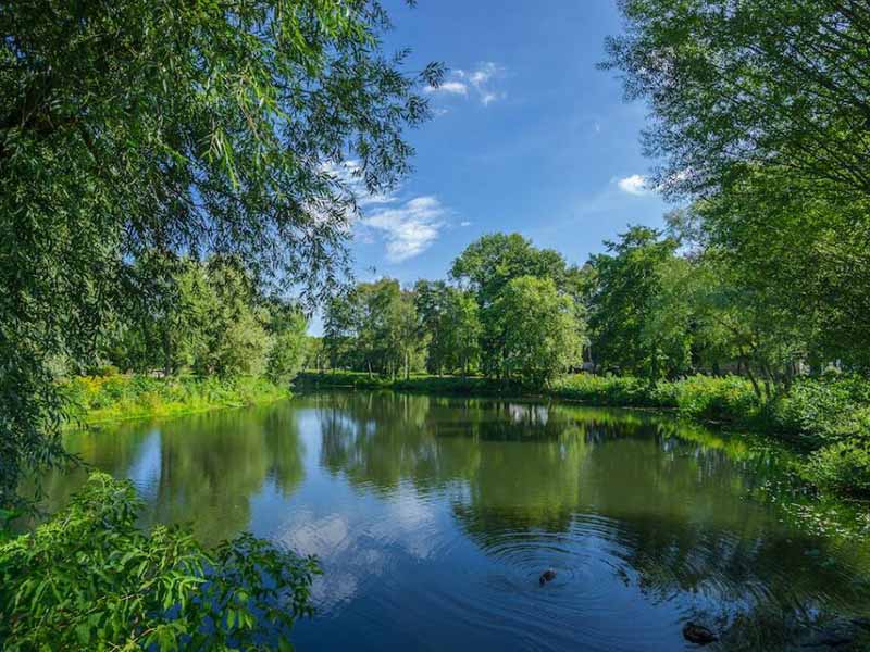 水體富營養(yǎng)化有哪些危害（水體富營養(yǎng)化治理措施）