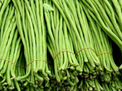 豆角中含有滅蠅胺？怎么解決？