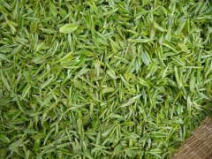 怎樣檢測茶葉中的茶多酚含量？