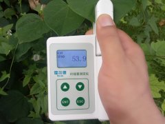 葉綠素含量測(cè)定儀，即時(shí)測(cè)量植物的綠色程度
